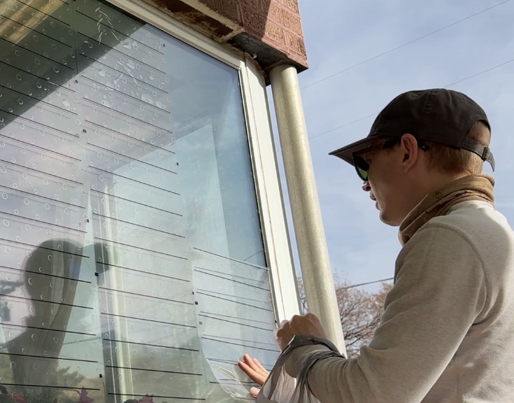 Bird Safe Windows installation in action