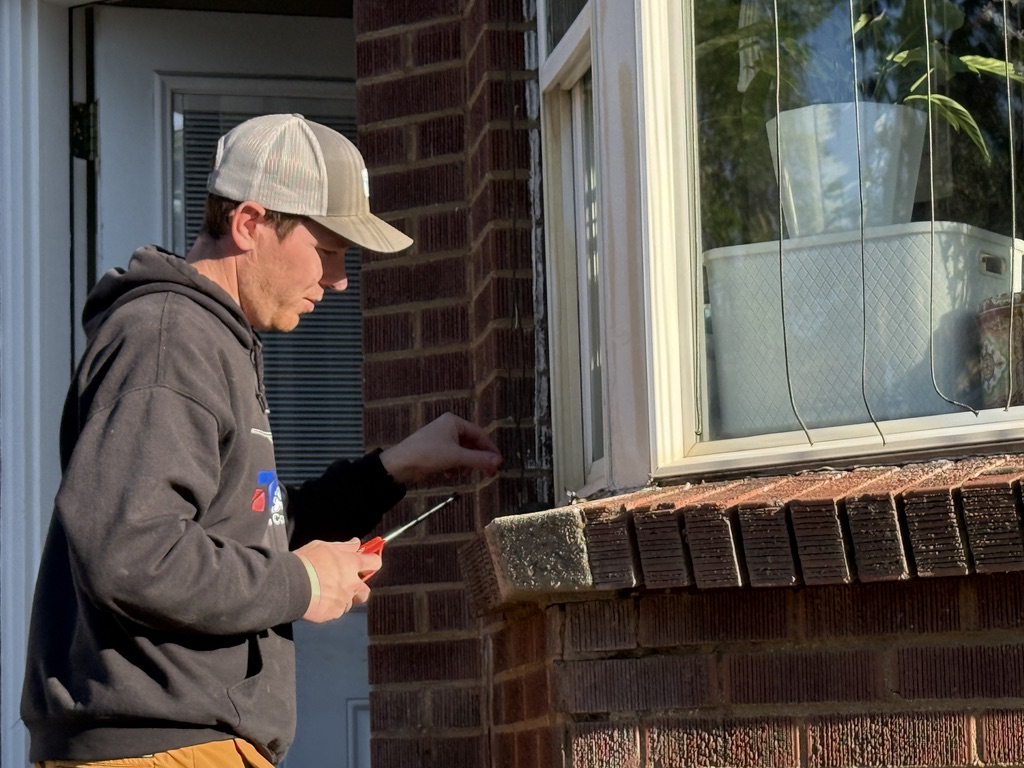 Bird Safe Windows installation in action