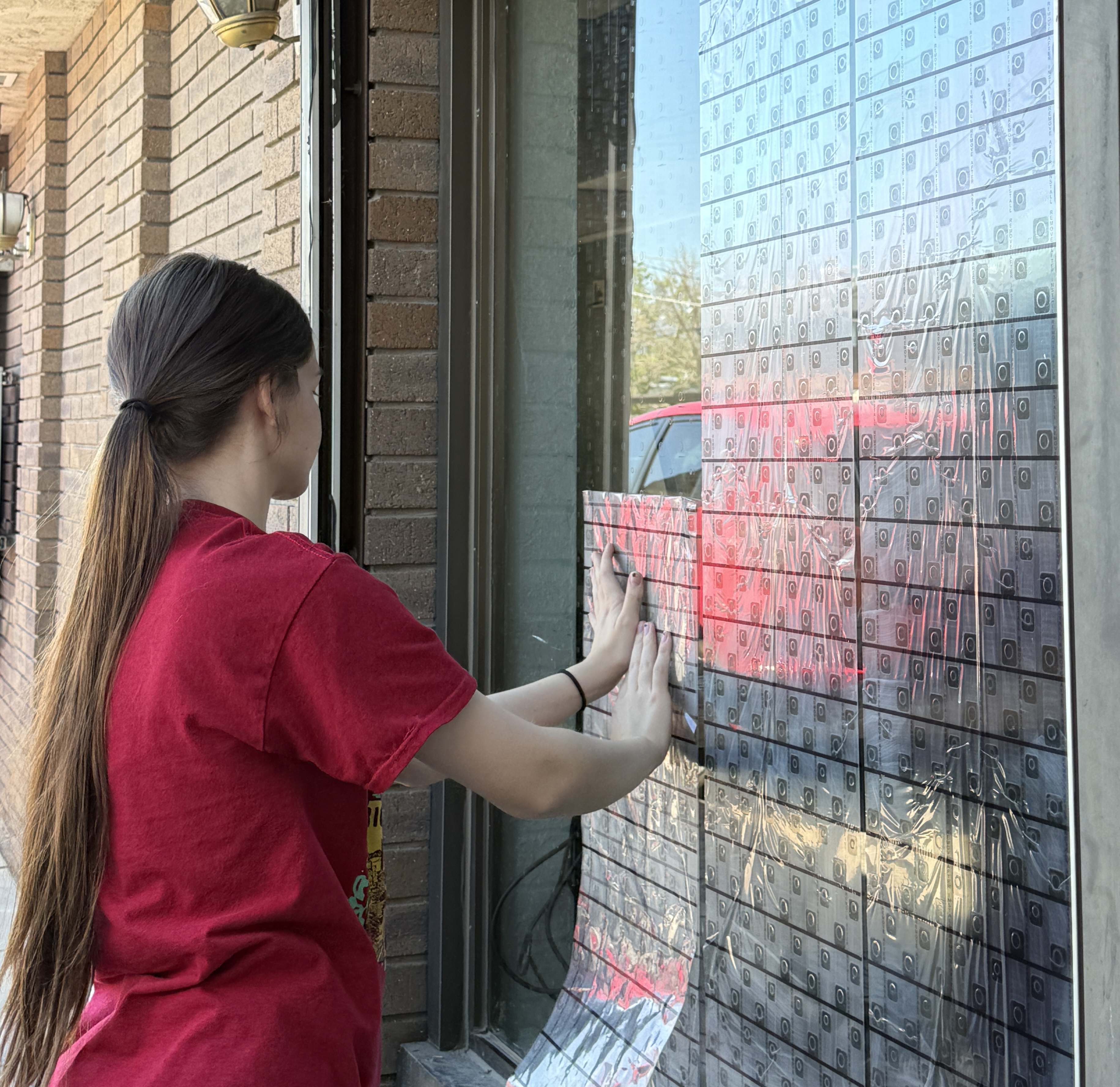 Bird Safe Windows installation in action