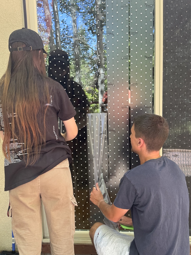 Bird Safe Windows installation in action