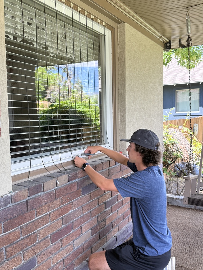 Bird Safe Windows installation in action