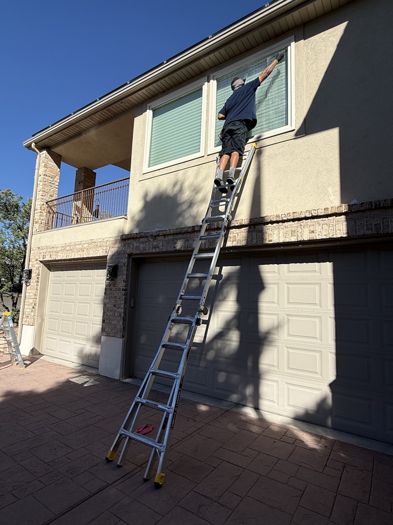 Bird Safe Windows installation in action